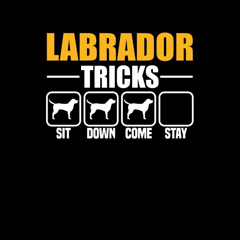 Labrador Tricks