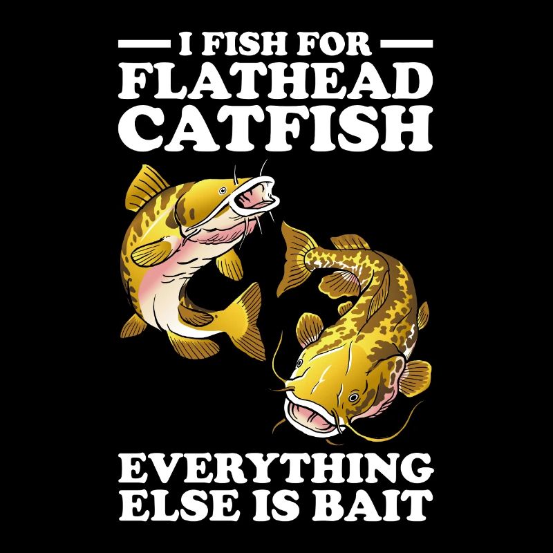 Poisson-chat pêcheur Poisson-chat Pêche au poisson-chat Pêche au poisson-chat
