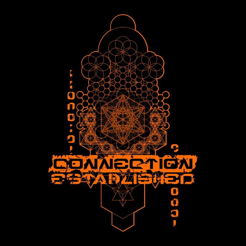 Connection Established Sacred Metatrons Cube