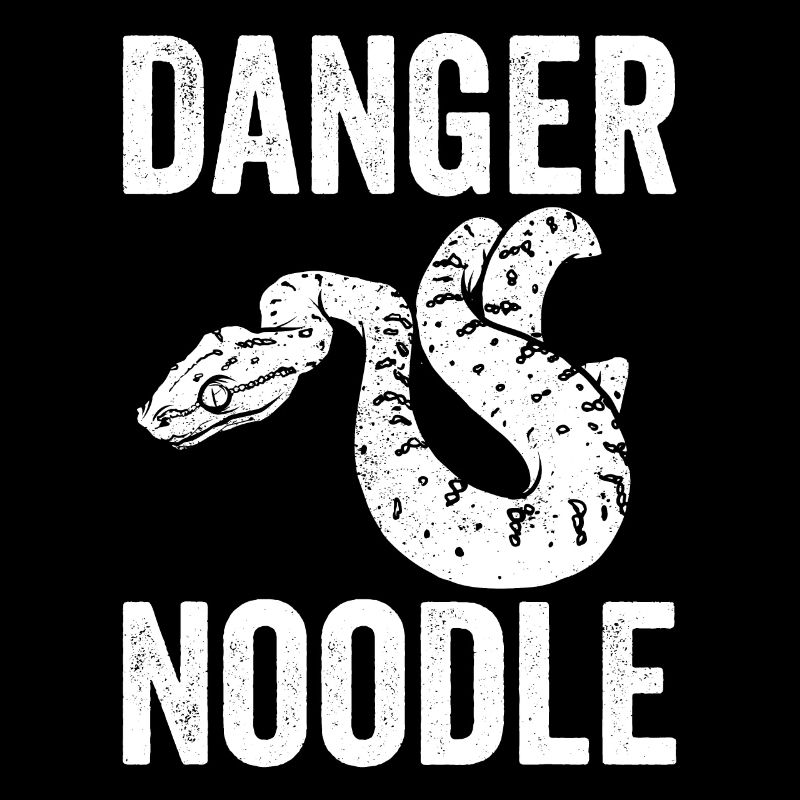 Funny snake danger noodle