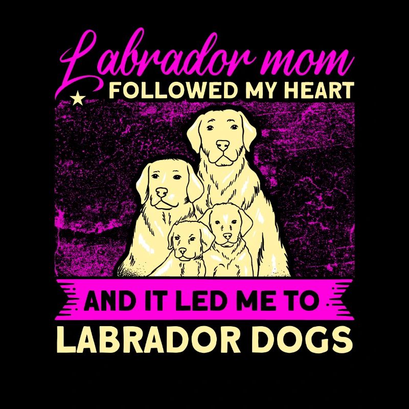 Haustier Labrador Mama Hund Labrador