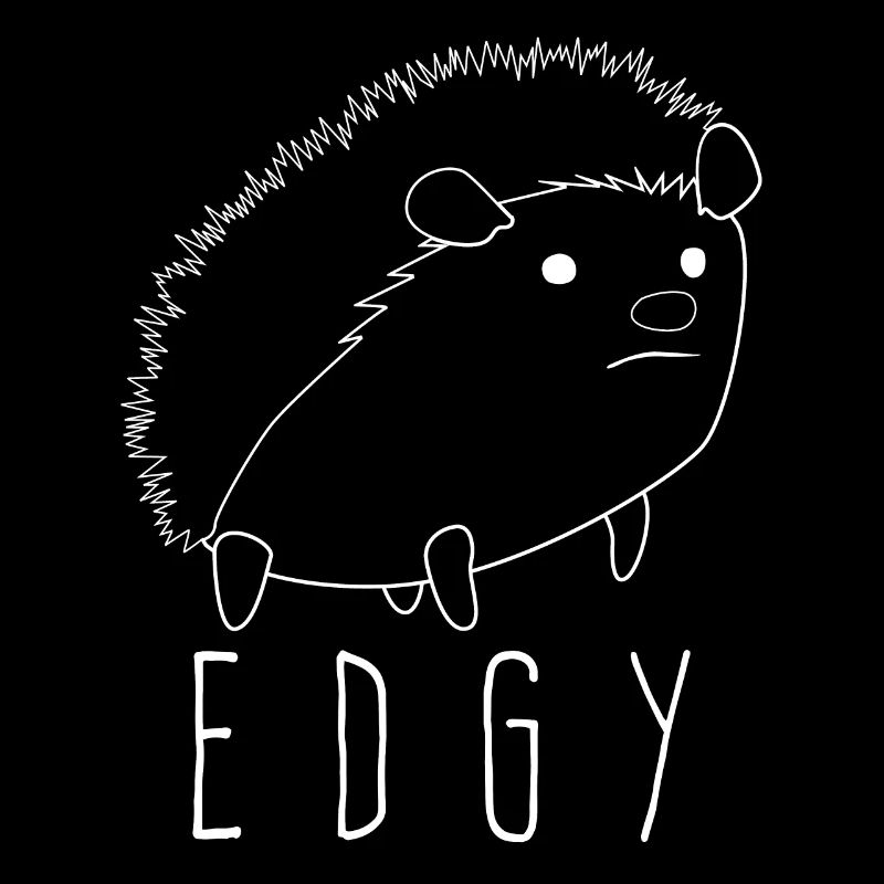 Hedgehog Edgy Hedgehogs
