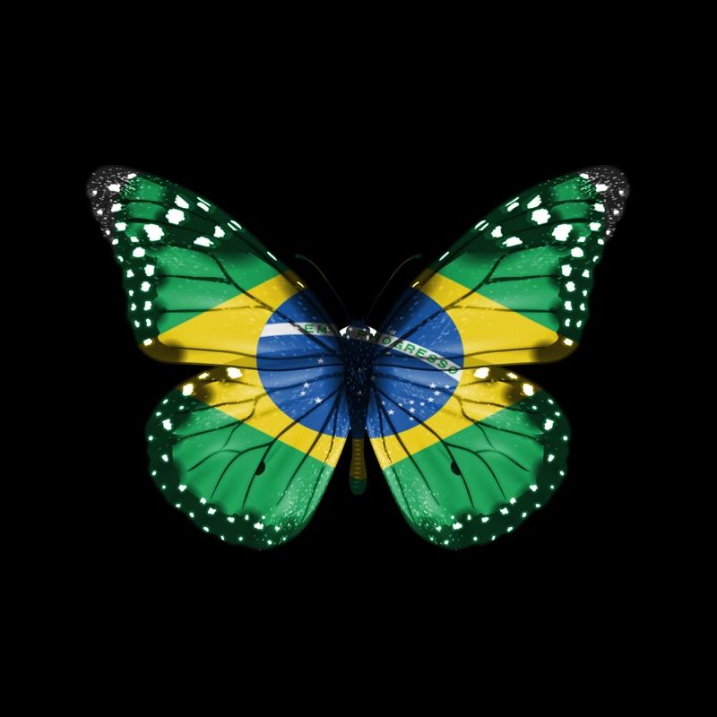 Drapeau papillon du brésil
