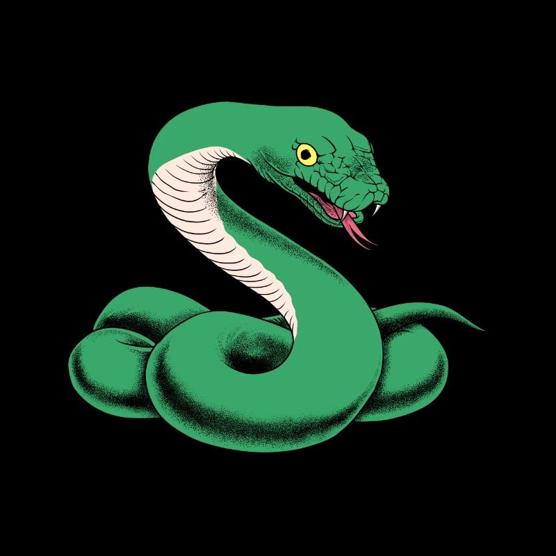 Terrarium de reptiles mamba vert serpent