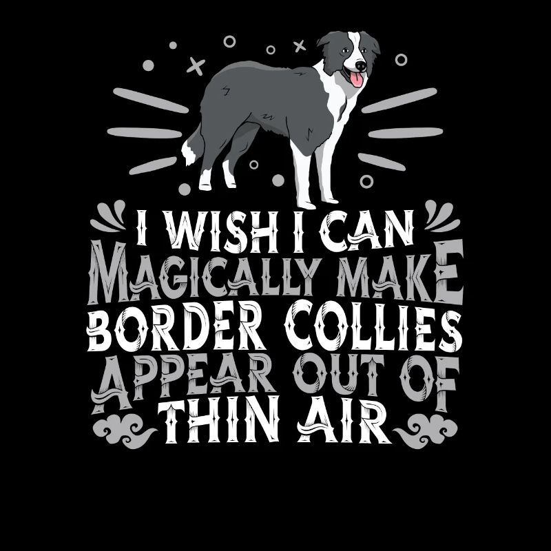 Border Collie Chien
