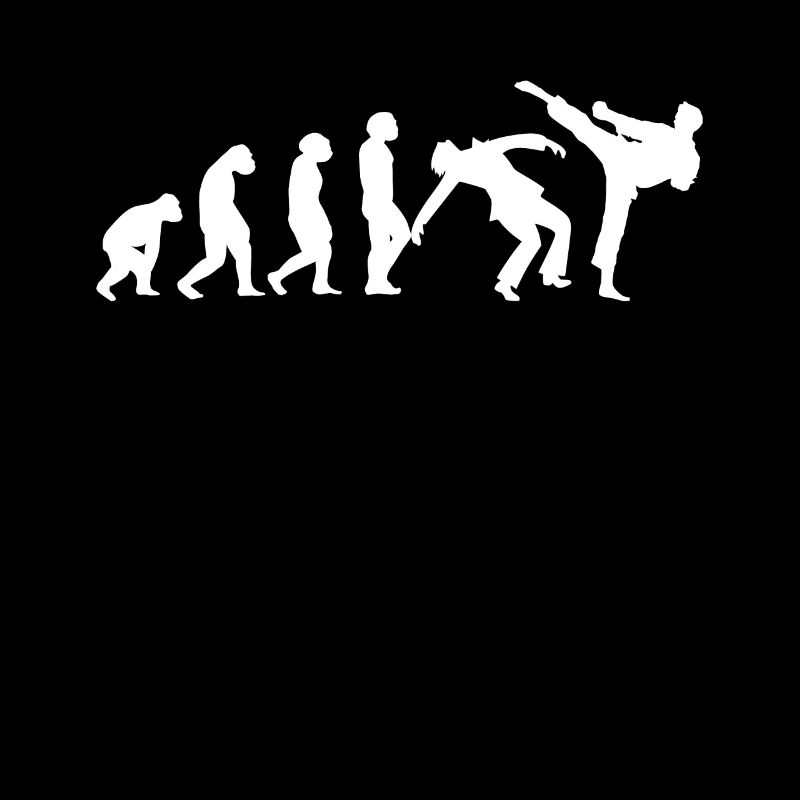 Evolution Taekwondo Karaté Aikido Kickboxing