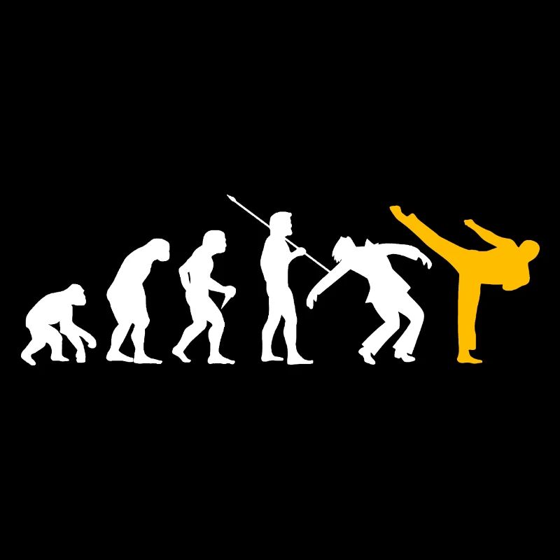 Kickboxen Evolution Kickboxer Karate Taekwondo