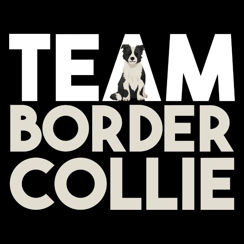 Hund Border Collie