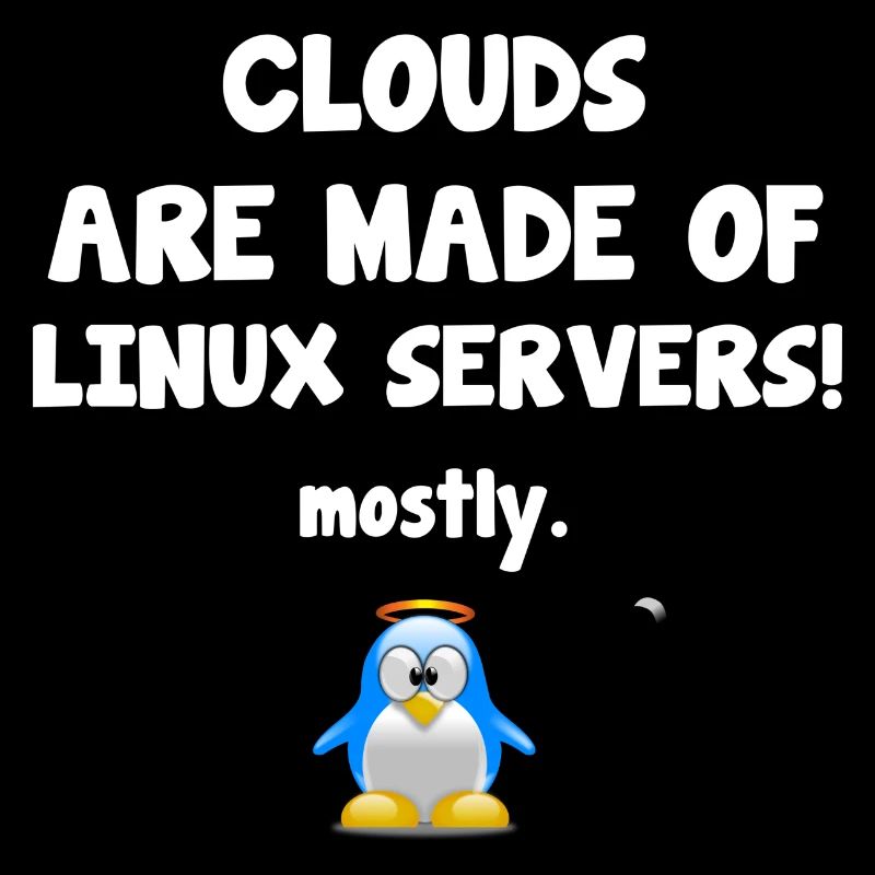 Linux Server lustiger Spruch mit Pinguin