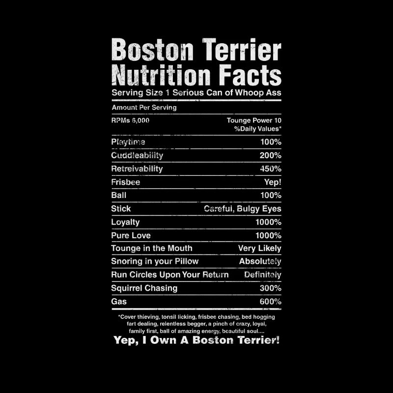Boston Terrier