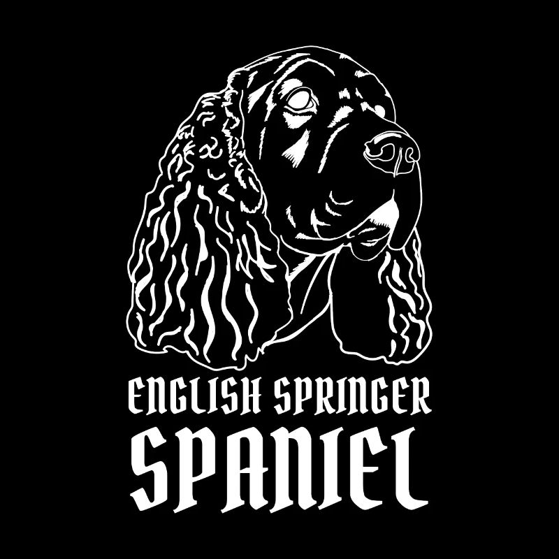 Deutsch Springer Spaniel