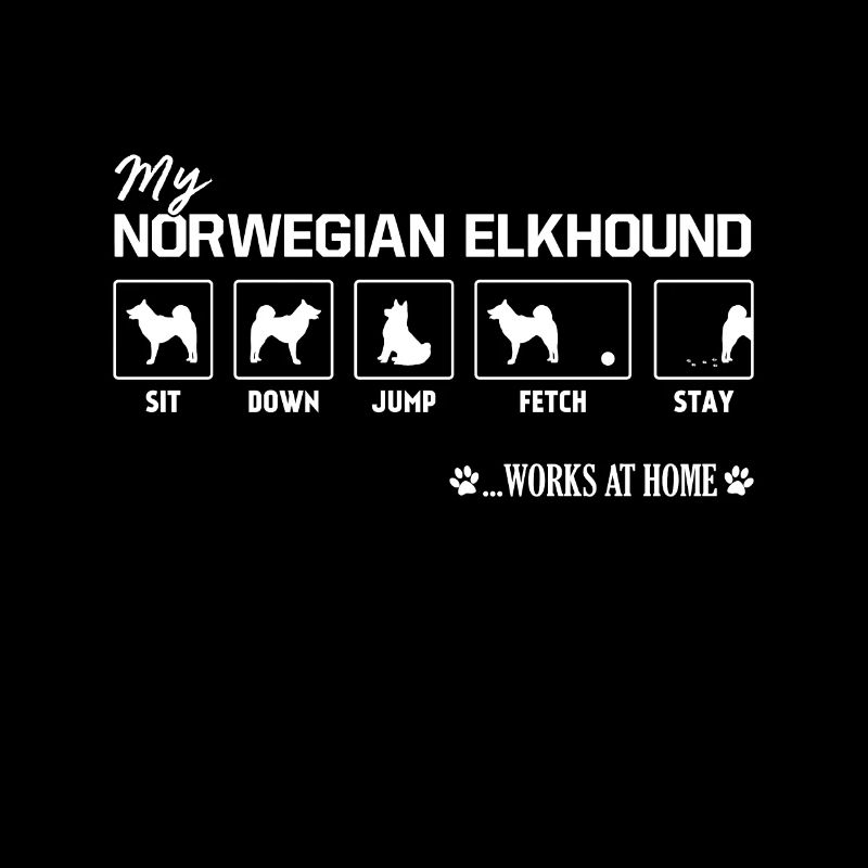 Chien d'orignal norvégien