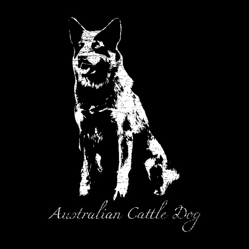 Bouvier Australien
