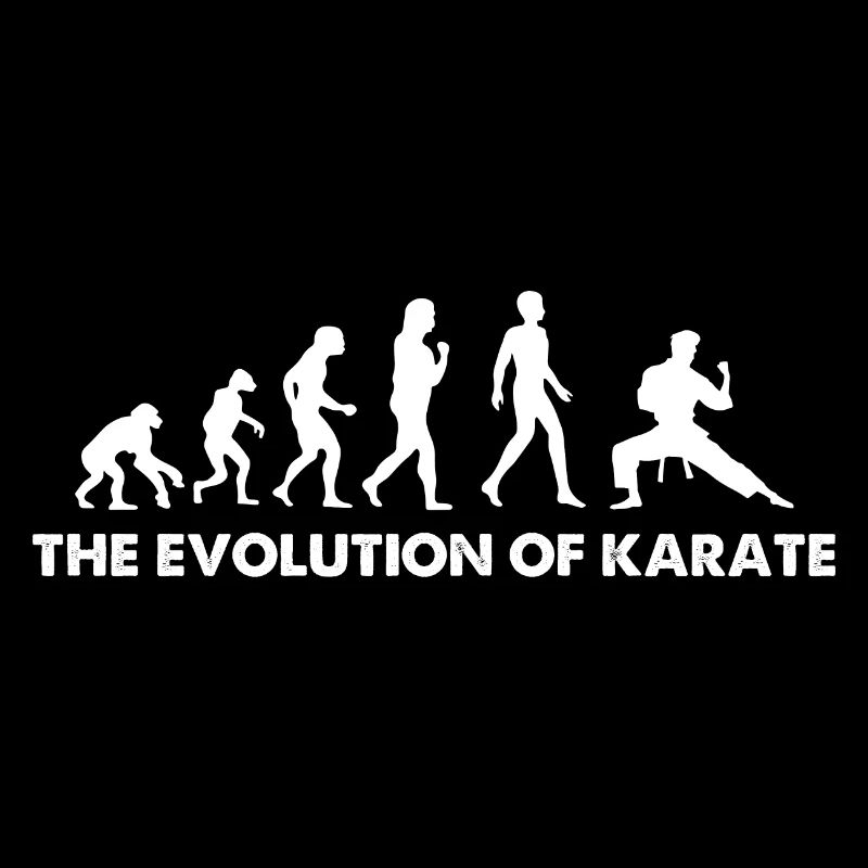 The Evolution Of Karate