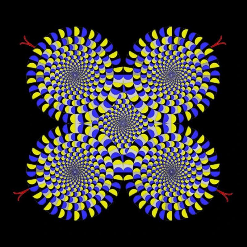Gift Optical illusion Snakes illusion