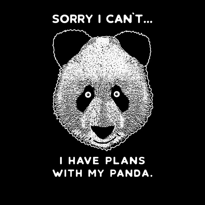 Panda Pandabär Bär Bären Teddybär Papabär Mamabär