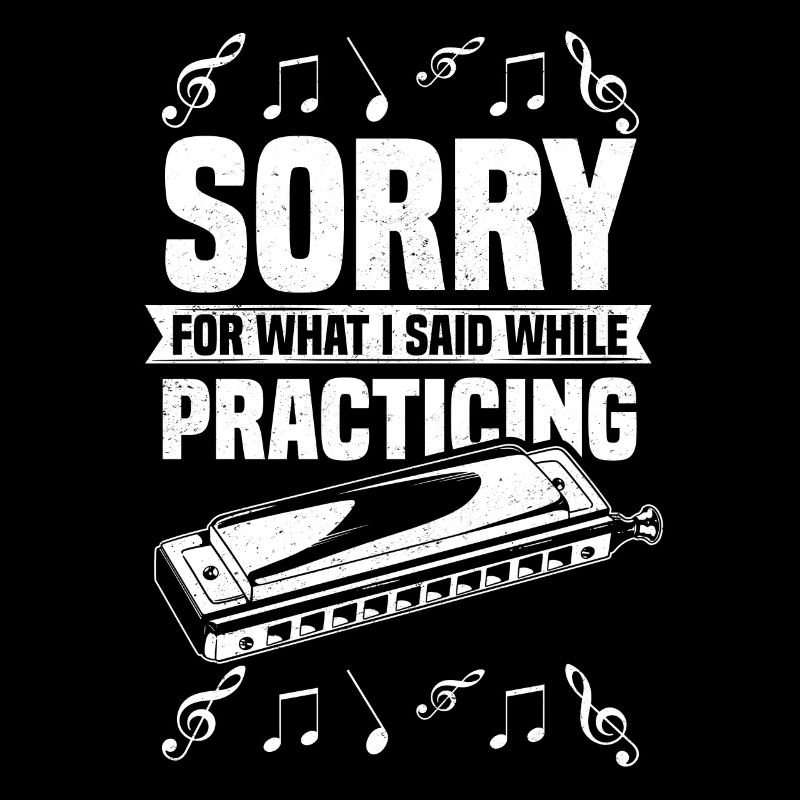 Harmonica practice diatonically chromatic