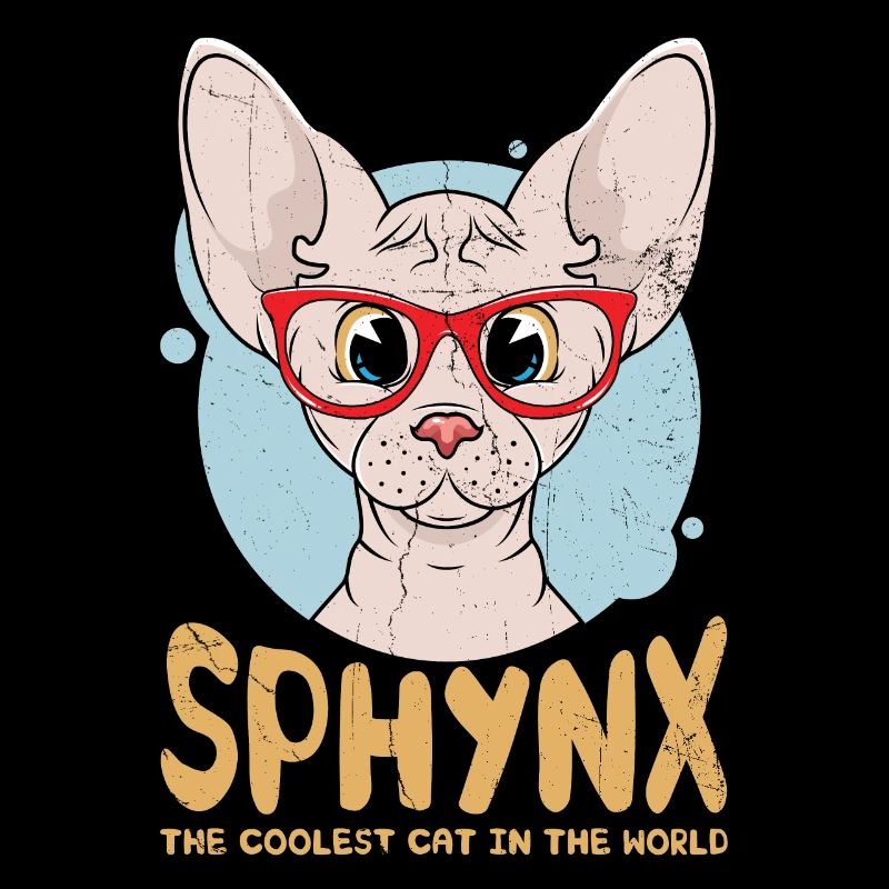 Sphynx Le chat le plus cool du monde pour Sphynx Cat