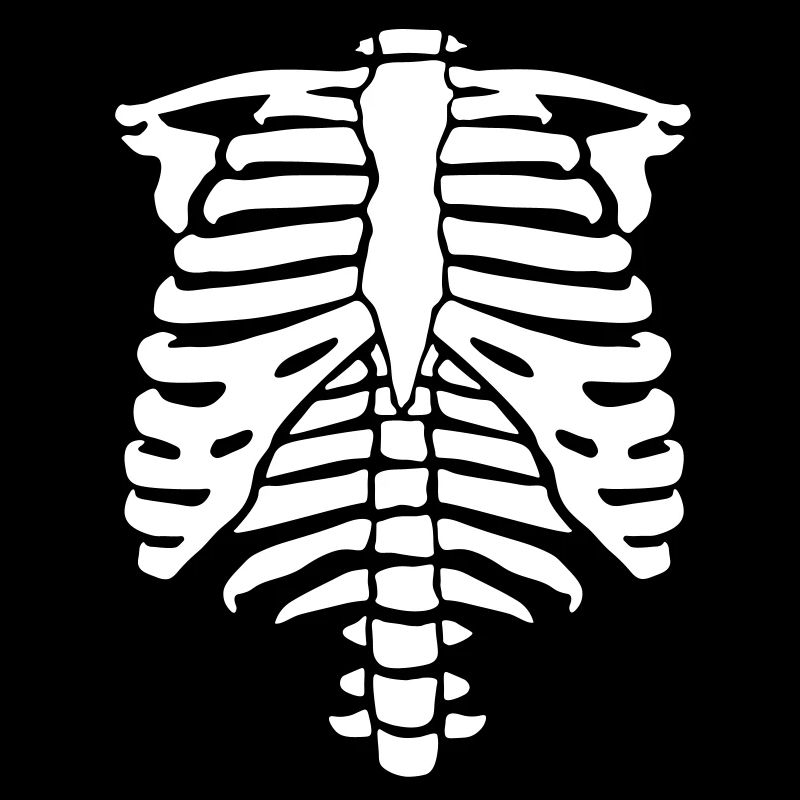Skeleton