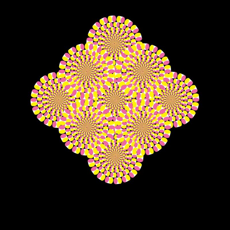 Perception Illusion d’optique Illusion