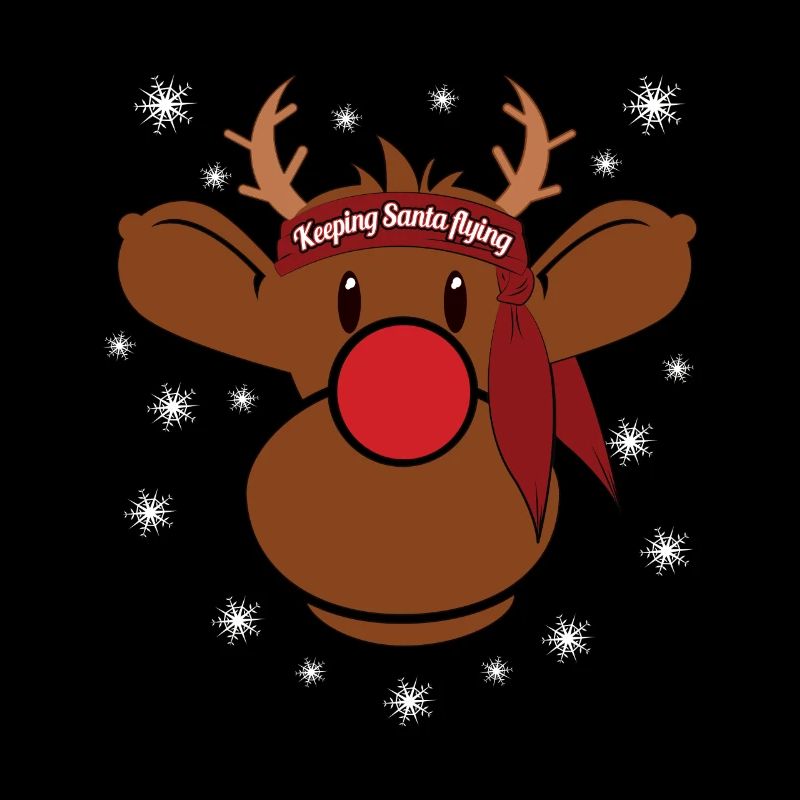 Rudi lets Santa fly Christmas