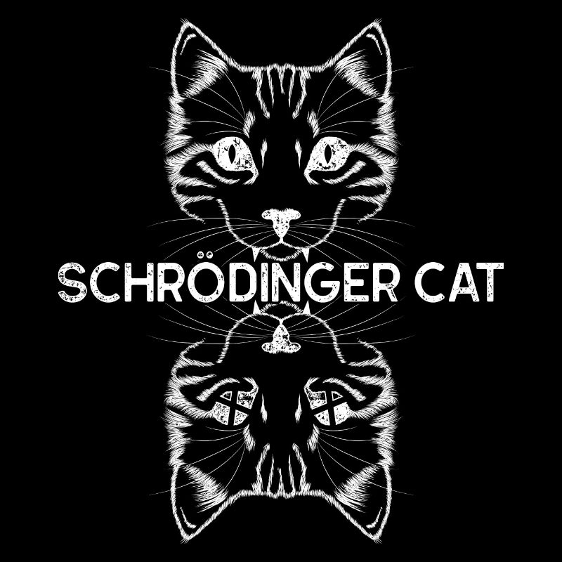 Théorie quantique Le chat de Schrödinger