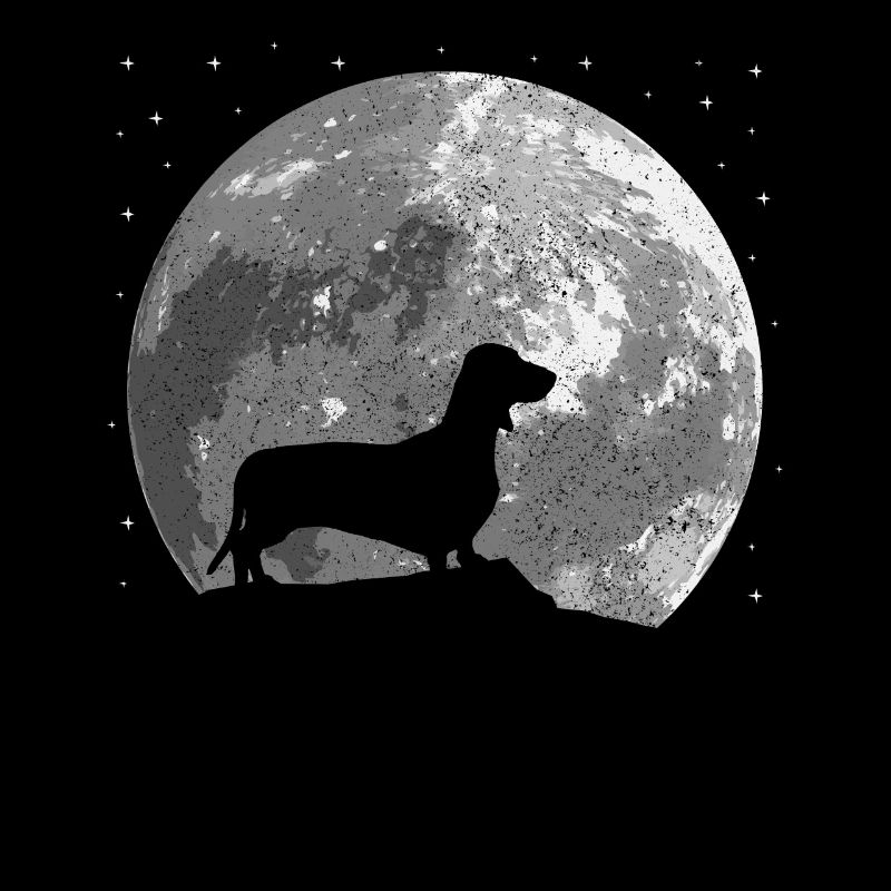 dachshund