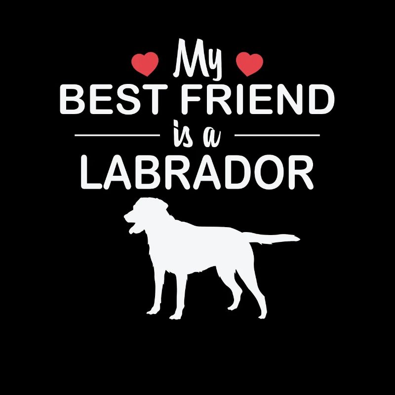Mon meilleur ami est un chien labrador