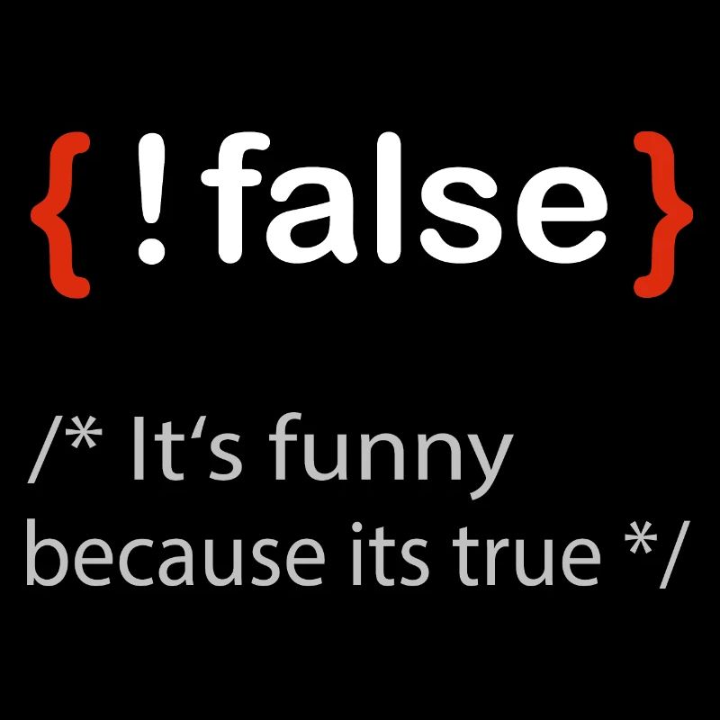 Programmierer false true Informatiker Student
