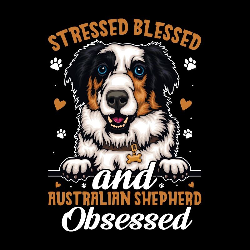 Gesegneter Australian Shepherd Besessener