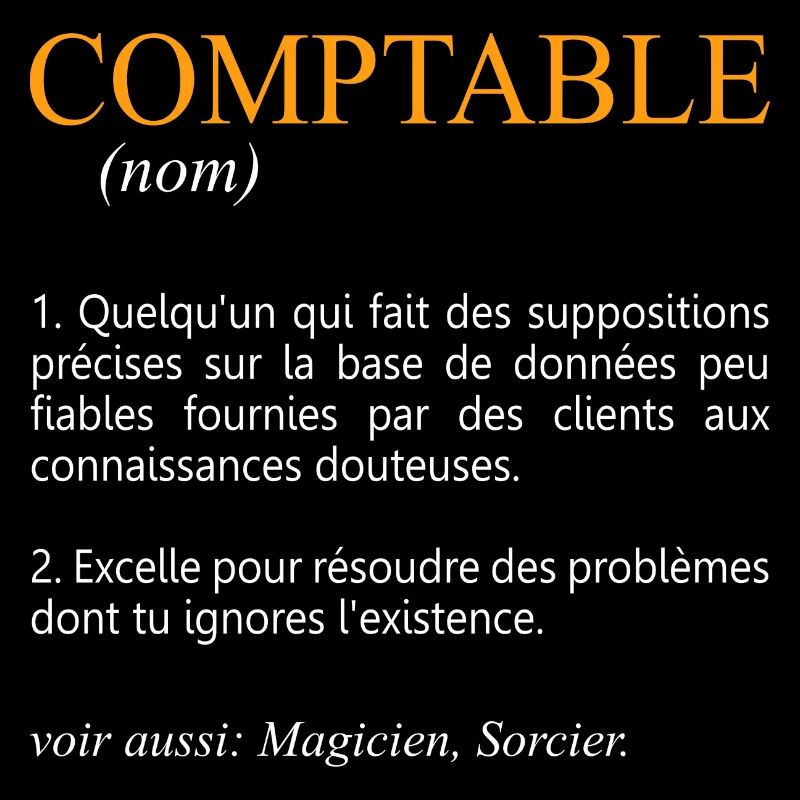 Humour Comptable Cadeau Comptable Comptabilité Gén