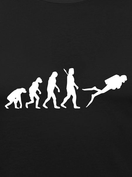 Evolution Tauchen