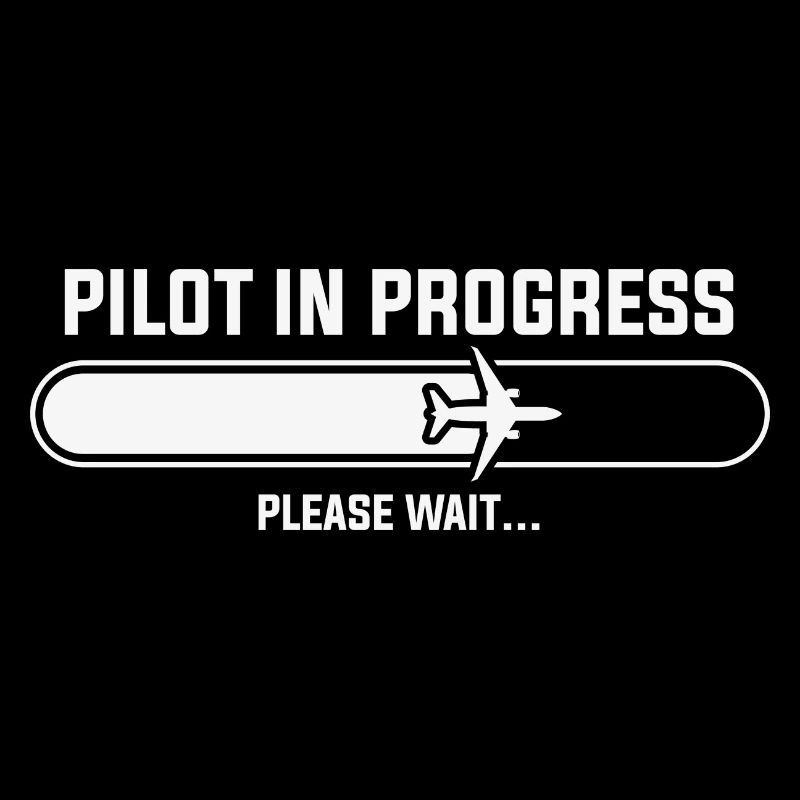Pilot Funny saying pilot