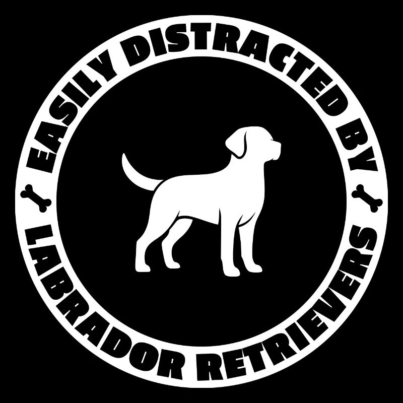Facilement distrait par les Labrador Retrievers
