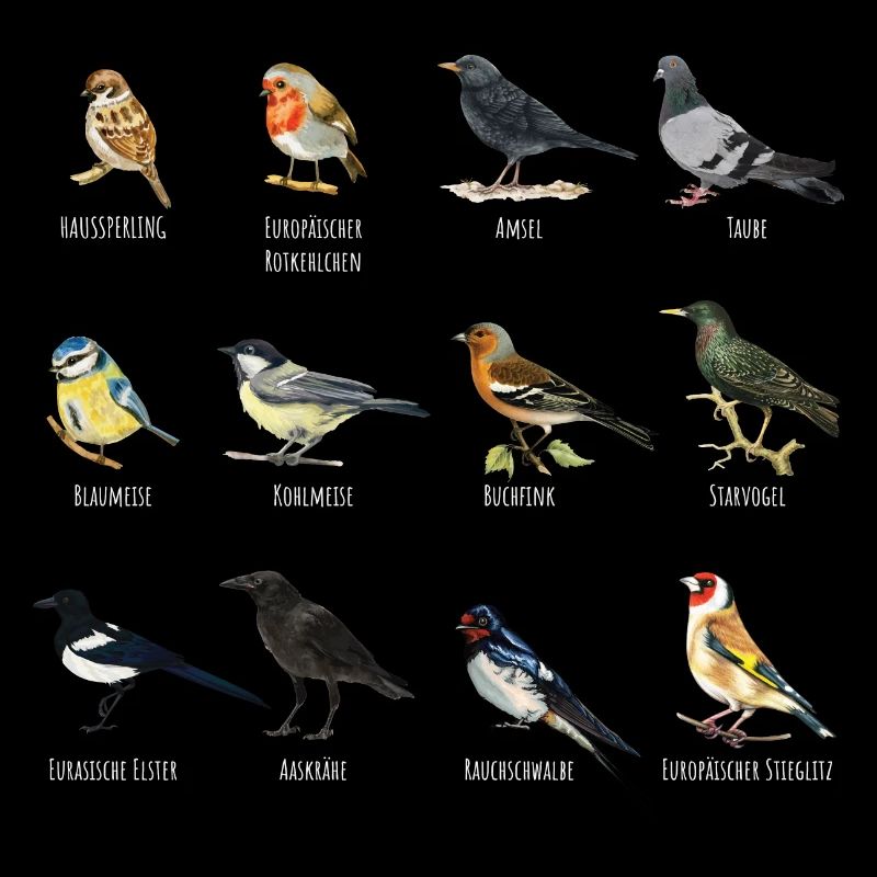 Espèces d’oiseaux indigènes Allemagne