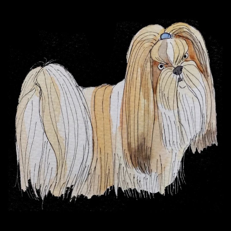 Lhasa Apso Spaß