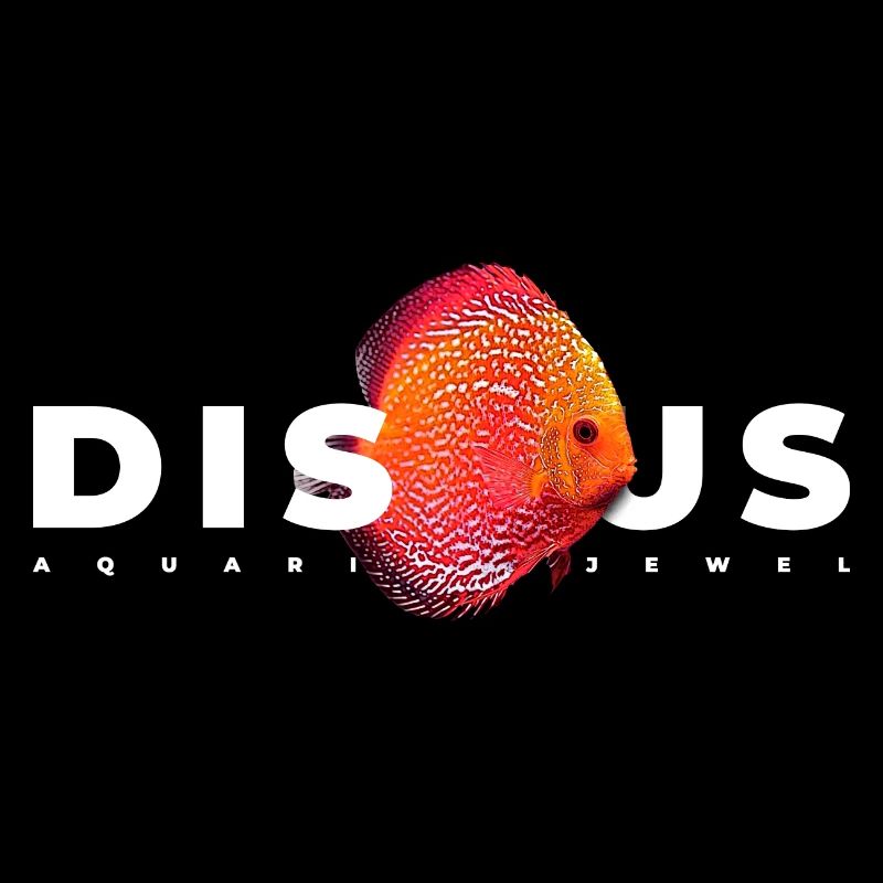 Discus Cichlidé Poissonnier
