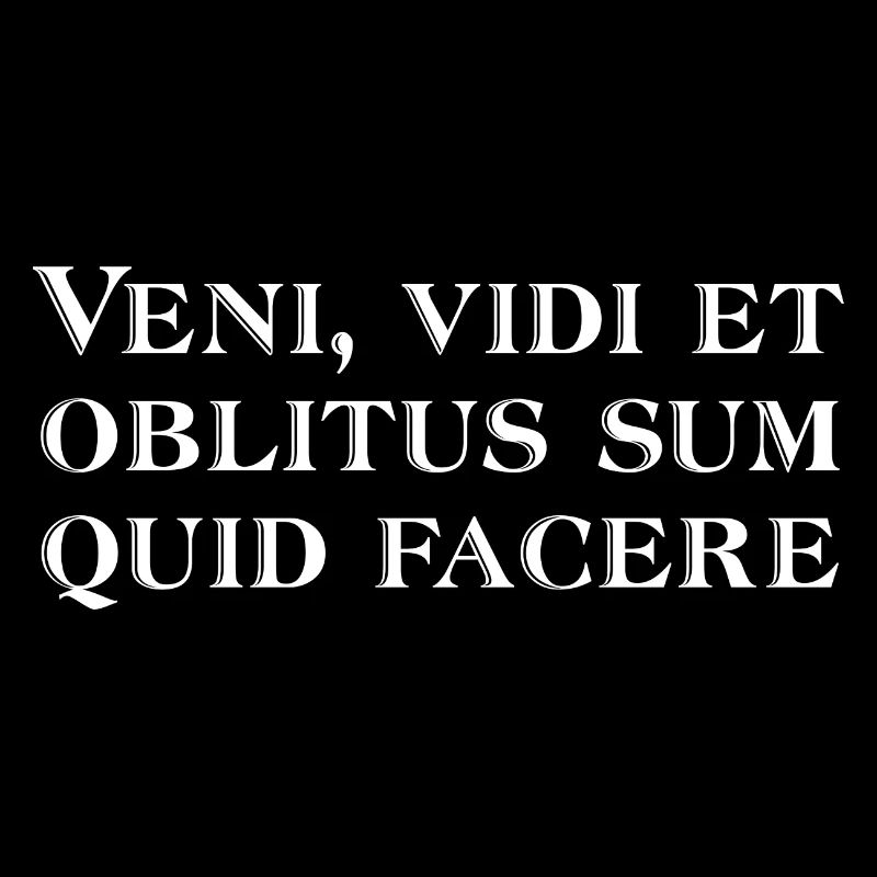 Veni vidi et oblitus sum quid facere