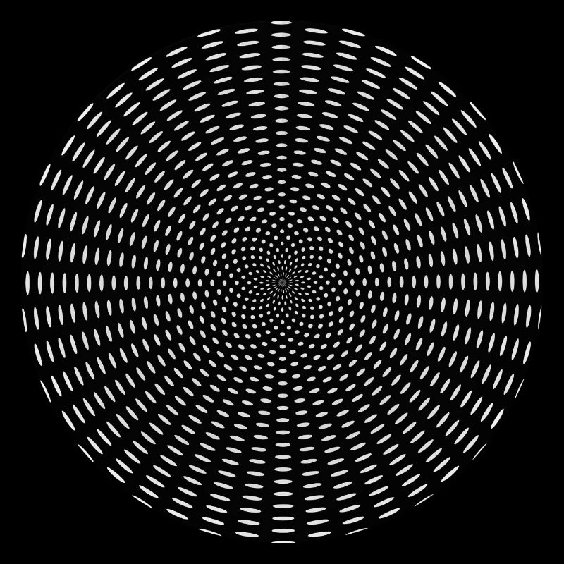 Optical Illusion Tunnel Gift
