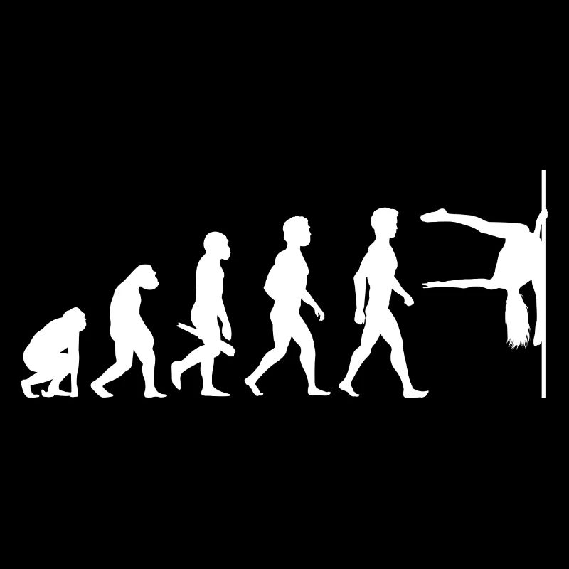 Evolution Poledance Pole Dancing Danse