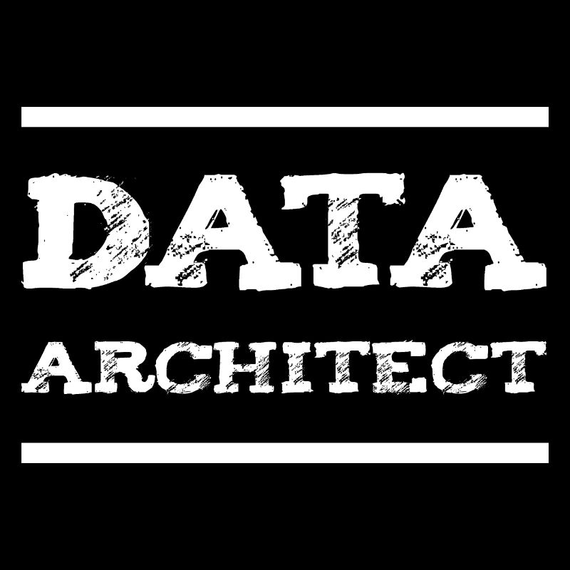 Data Architect Data Engineer IT Developer
