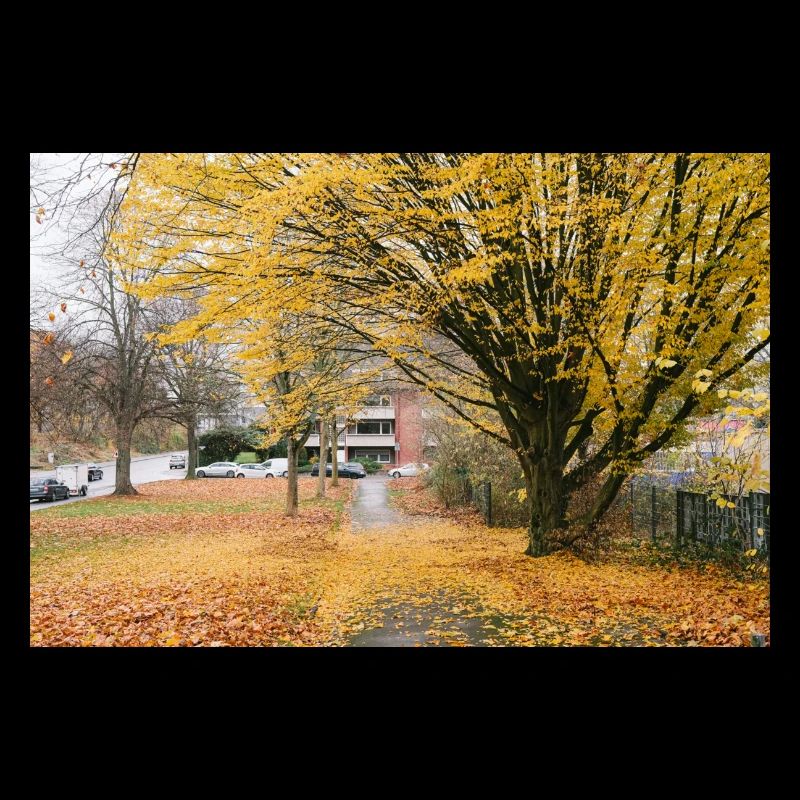 Autumn