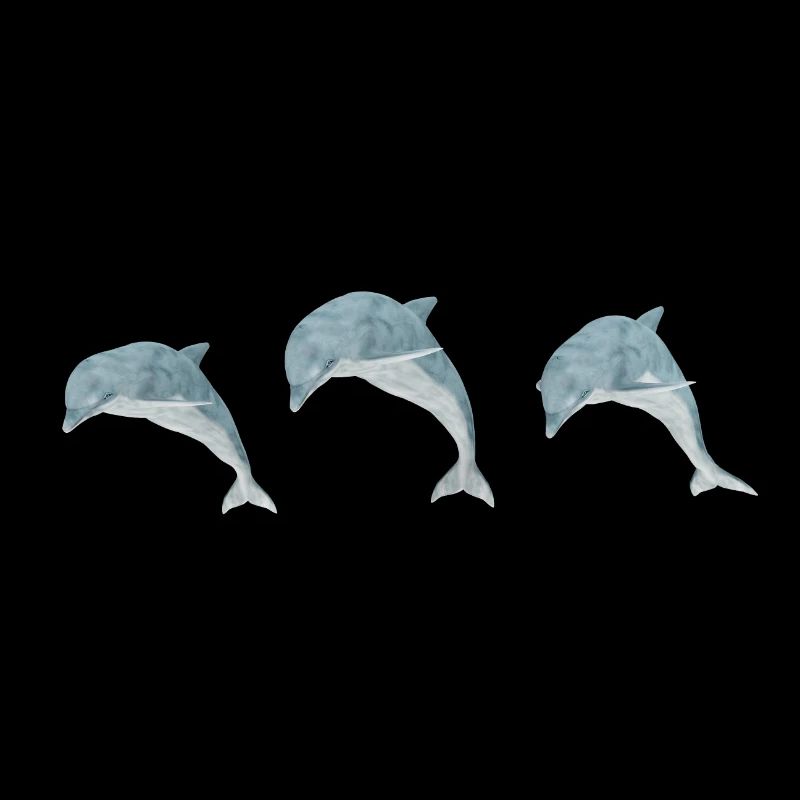 Trois dauphins sauteurs