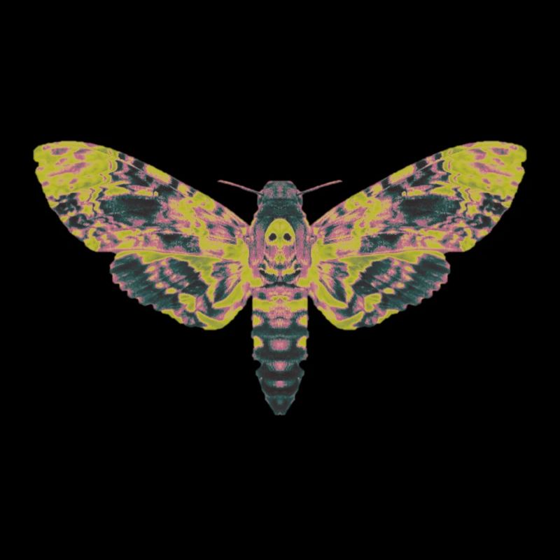 Skull swarmer