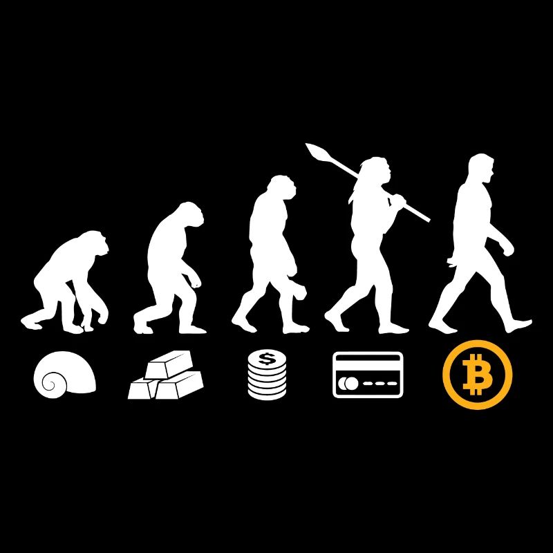Bitcoin Geld Evolution