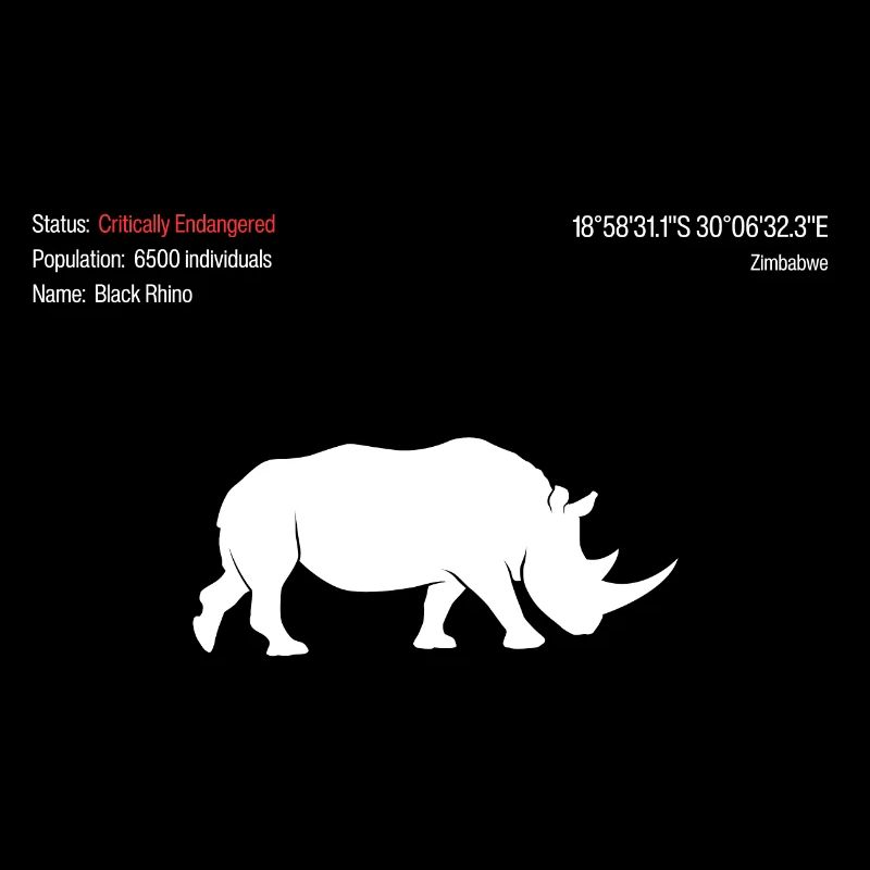 Rhinocéros