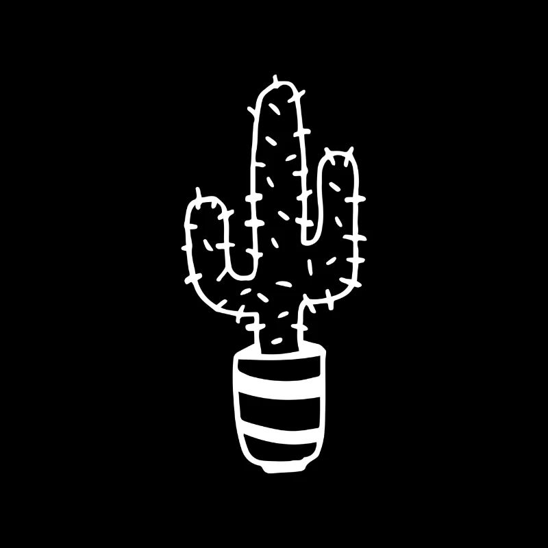 Cactus doux épines de cactus