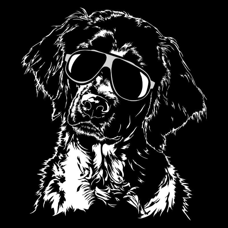 GROßER MÜNSTERLÄNDER cool Sonnenbrille Wilsigns
