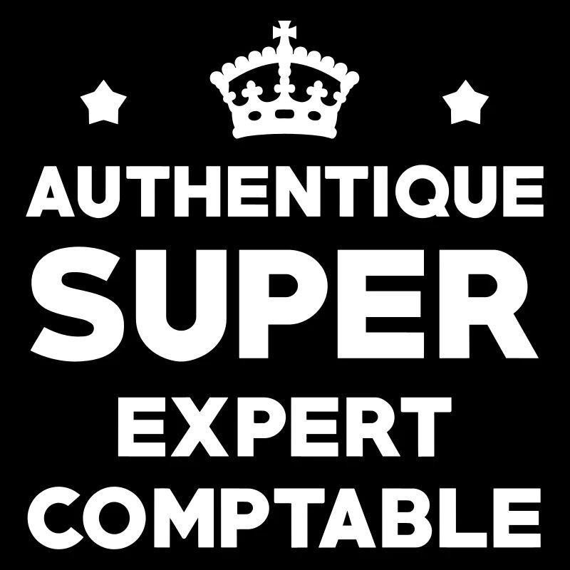 Expert Comptable / Comptabilité / Comptable /