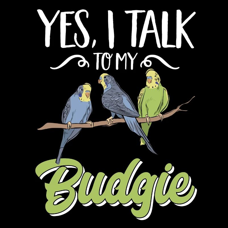Budgerigar Parakeet Bird Pet Gift
